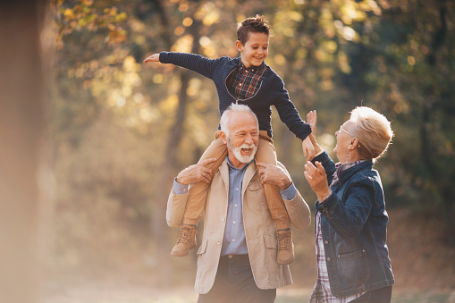 Fundación General CSIC obtains 8 million euros to develop a project on prolonging the autonomous life of the elderly.