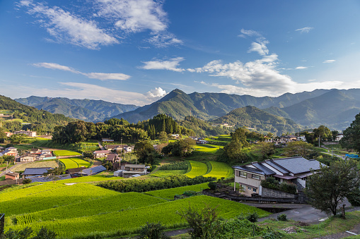 The National Rural Network is constituted as the National Network of the CAP.