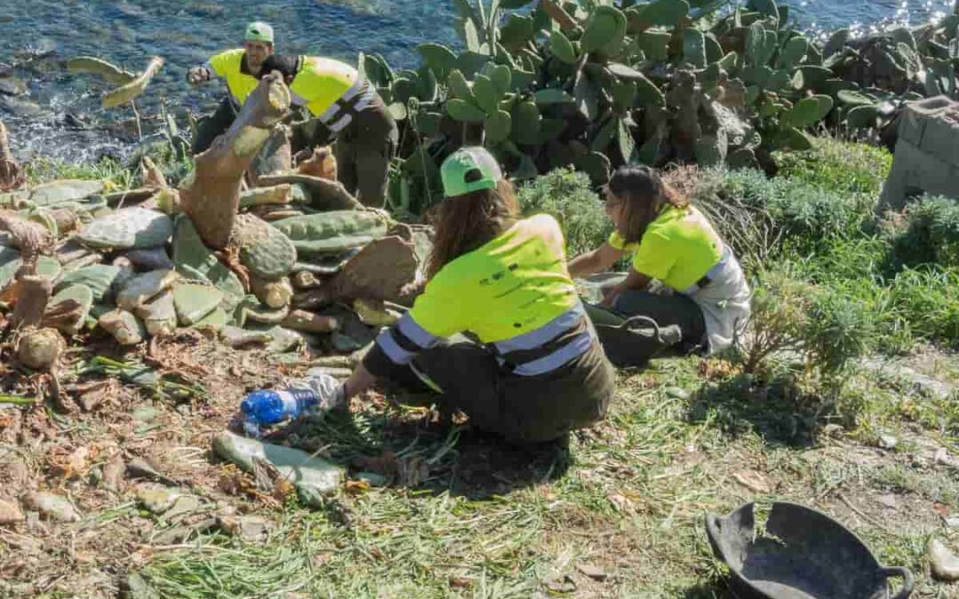 Menorca Biosphere Reserve Agency will incorporate a brigade for the elimination of invasive alien species