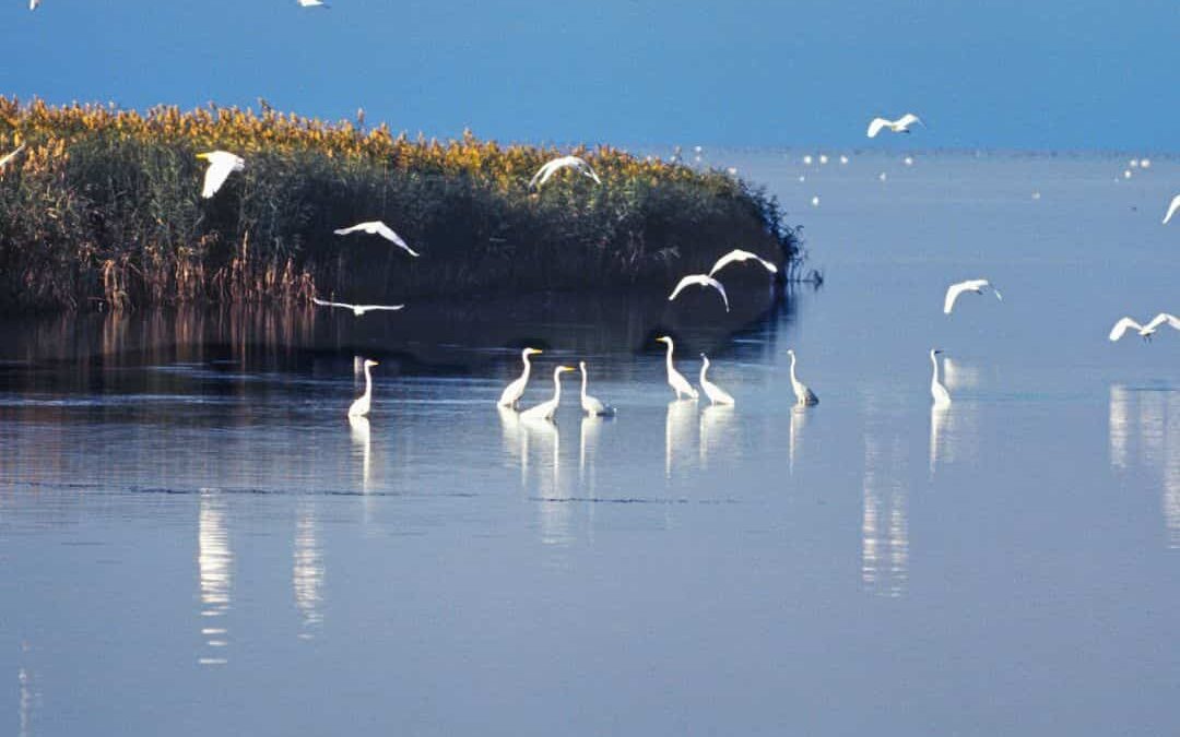 Call for grants for studies and research on the Menorca Biosphere Reserve is now open