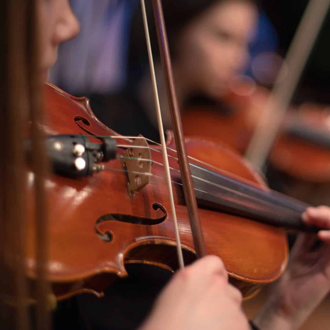 concert of Sant Antoni in 2024