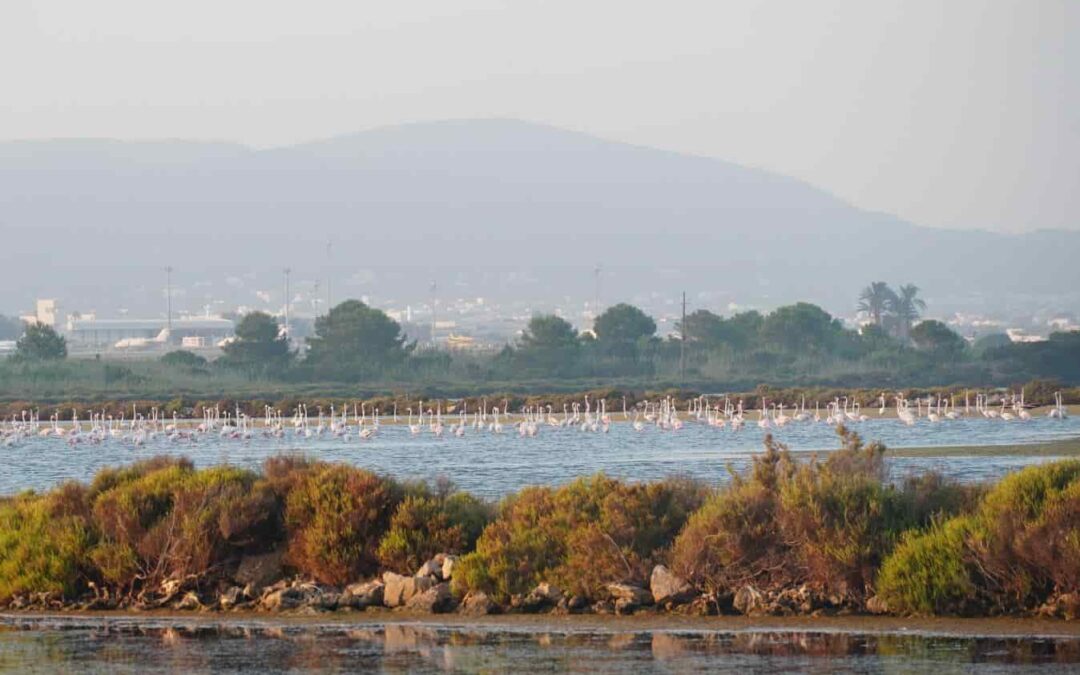 The Government of the Balearic Islands creates the Natural Heritage Fund of the Balearic Islands