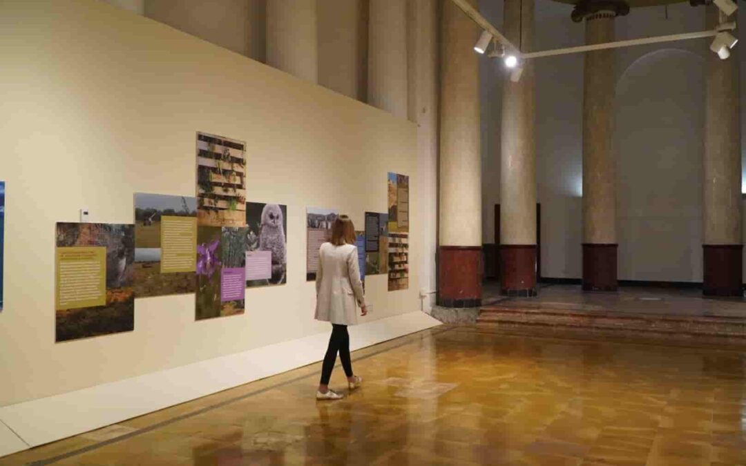 The Consell de Mallorca reopens the chapel of La Misericordia with the exhibition Natural Spaces