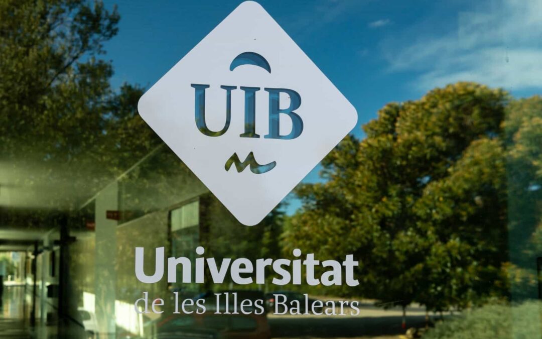 The President and members of the Social Council of the University of the Balearic Islands are appointed