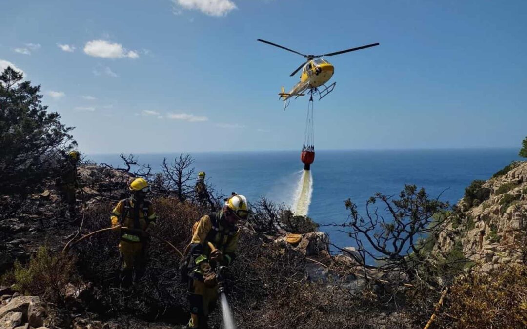 The Ministry of Agriculture, Fisheries and the Natural Environment moves up the period of high danger of forest fires in Ibiza and Formentera to 1 April.