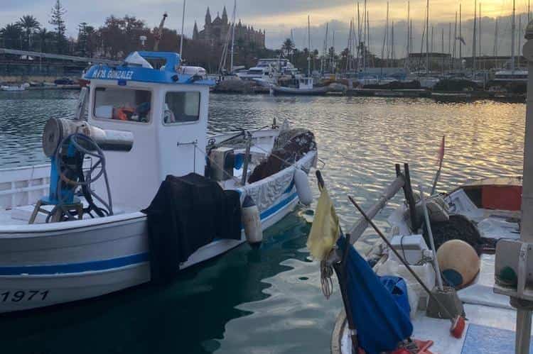 The FOGAIBA Board of Directors approved a grant of 150,000 euros for the Balearic Federation of Fishermen’s Guilds, 15% more than last year.