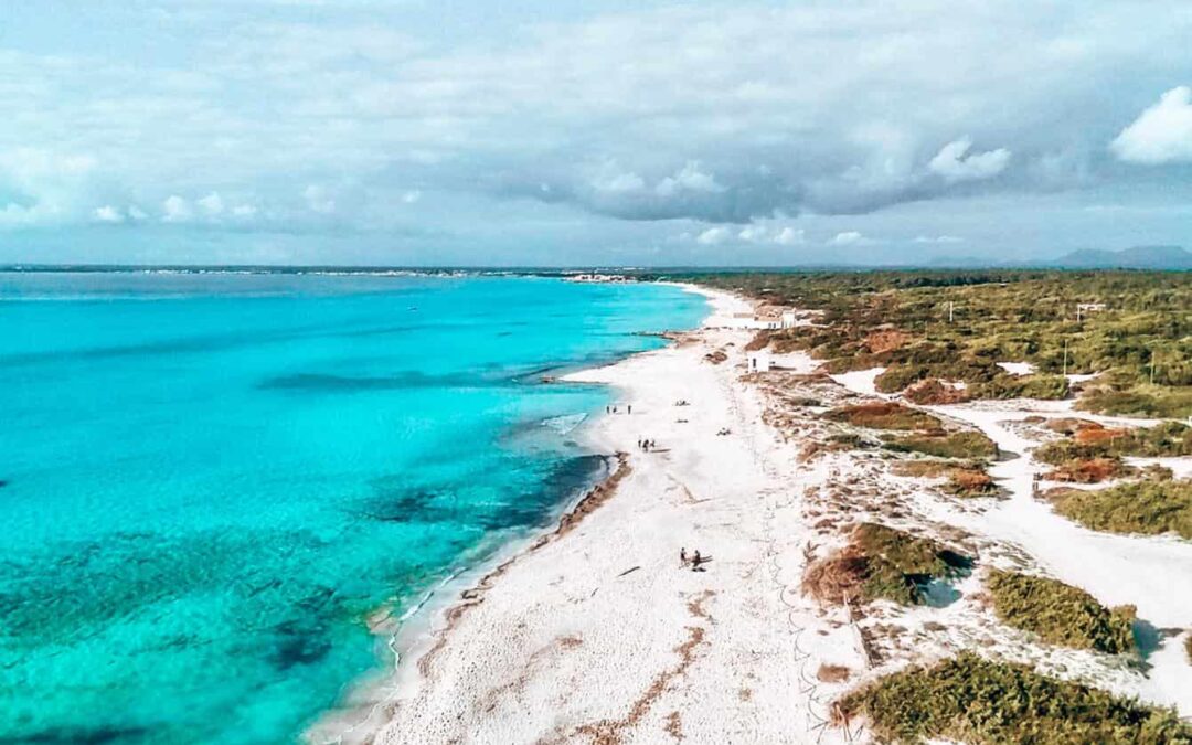 The Government of the Balearic Islands presents allegations against the General Coastal Regulation