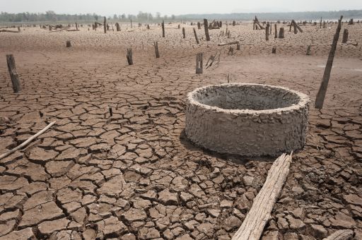 Expenditure of EUR 4 million authorised for the call for drought aid in 2024