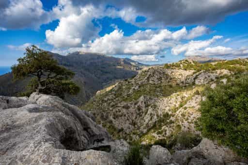 The Consell de Mallorca earmarks 75,000 euros to consolidate land stewardship projects