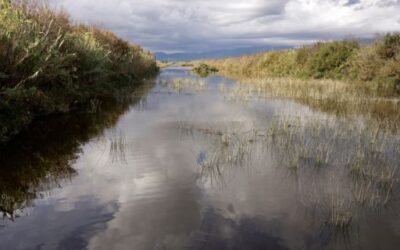 A call for proposals to fund research projects to assess and mitigate the impact of climate change has been launched