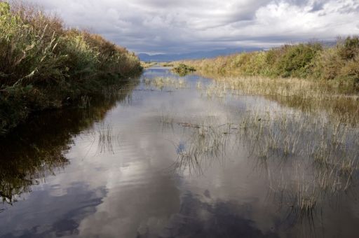 A call for proposals to fund research projects to assess and mitigate the impact of climate change has been launched