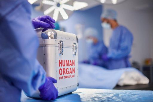 Spain achieves a new record: 48 organ transplants in 24 hours