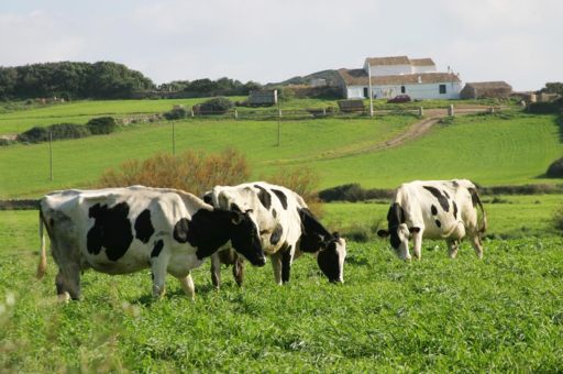 Agriculture, Fisheries and the Environment make a new payment of more than 1.6 million euros to the primary sector of the Balearic Islands