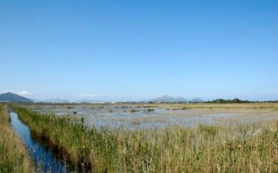 The Government vindicates the importance of the protected natural areas of the Balearic Islands on European Natural Parks Day