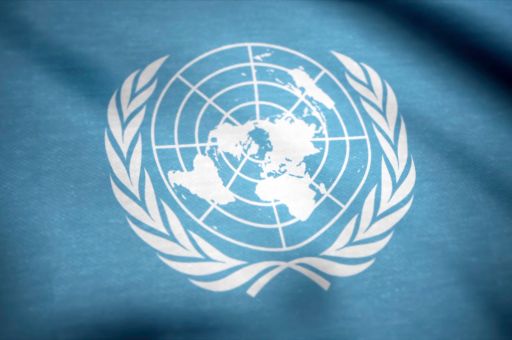 The UN endorses the Spanish Government’s defence of Democratic Memory in the face of regional initiatives for laws of “concord”