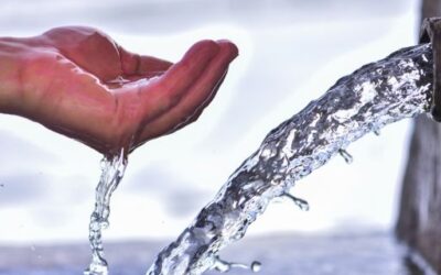 The director general of Water Resources visits water reuse facilities in Consell