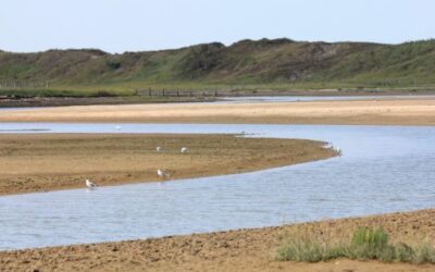 Water reserves in the Balearic Islands stand at 53% in April, pending reflection of the impact of the latest rainfall