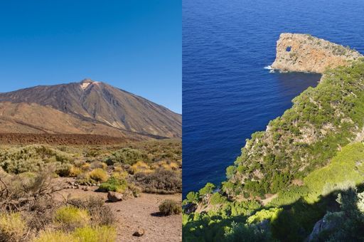 The Balearic and Canary Islands join forces to defend the peculiarities of their primary sector before the State and the European Union