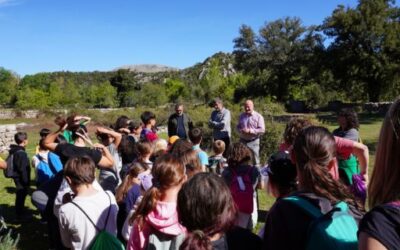 More than 13,000 students and teachers have gone on excursions to the Tramuntana mountain range with the Consell de Mallorca’s free transport service