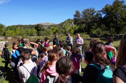 More than 13,000 students and teachers have gone on excursions to the Tramuntana mountain range with the Consell de Mallorca’s free transport service