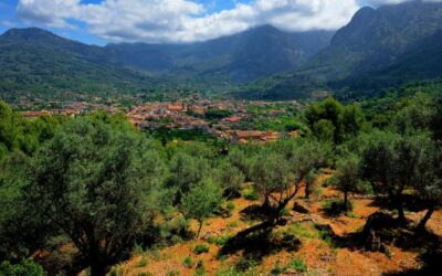 The Serra de Tramuntana celebrates thirteen years since it was declared a World Heritage Site