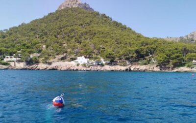 PortsIB activates the reserve of buoys in the Formentor anchoring field