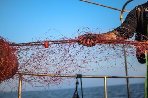 The Executive Council of the Consell Insular de Menorca has approved the regulatory bases for grants to the fishermen’s guilds of Menorca and the call for applications for the year 2024