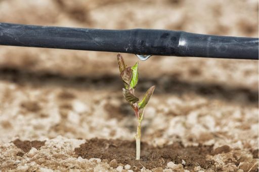 The Spanish Ministry of Agriculture, Fisheries and Food has noted a further increase in efficient irrigation in the Spanish countryside