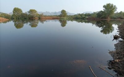 Successful completion of the enlargement of the Can Cuirassa lagoon, within the S’Albufereta Nature Reserve