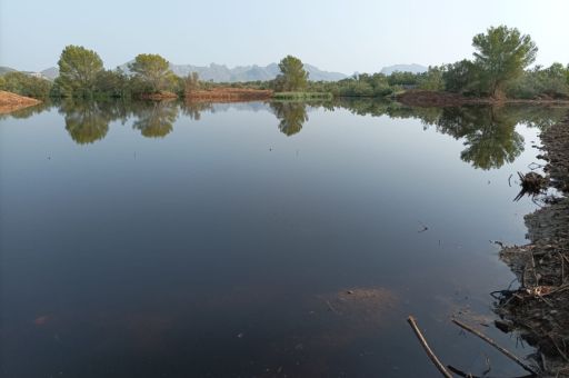 Successful completion of the enlargement of the Can Cuirassa lagoon, within the S’Albufereta Nature Reserve