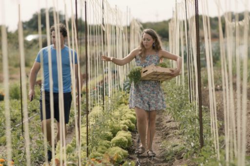 Aprobadas las bases y la convocatoria para las ayudas a las organizaciones profesionales agrarias de Menorca (OPA)