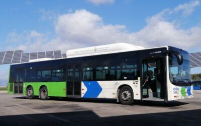 La EMT Palma recupera el servicio de la línea 19 coincidiendo con el inicio del curso escolar