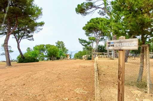 El IBJOVE abre el plazo de reserva del campamento de La Victòria para estancias lúdico-educativas durante la temporada 2025