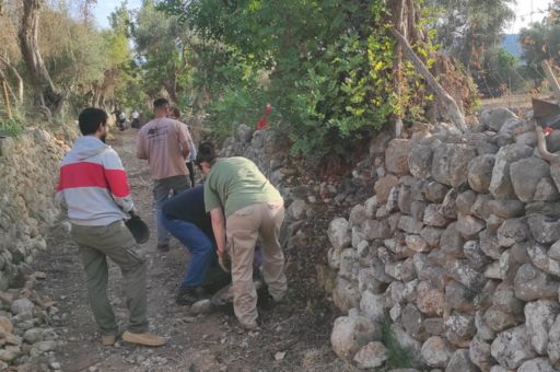 La finca de Galatzó acoge un curso para descubrir la construcción de márgenes en el marco de la Semana Europea del Patrimonio de Piedra en Seco que organiza el Consell de Mallorca