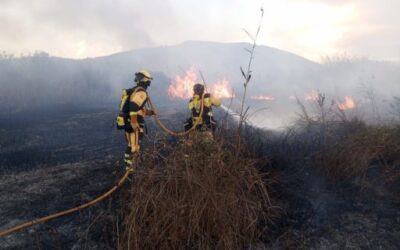 Joan Simonet: ‘The risk of forest fires exists all year round. We cannot be complacent. We ask the population to be very prudent and cautious