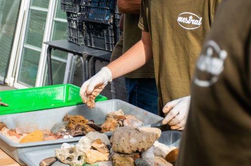 Cerca de una tonelada de material geológico requisado en el aeropuerto de Menorca vuelve a su hábitat natural