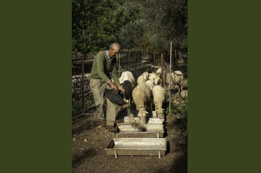 Ya se conocen los doce ganadores del Certamen de Fotografía Serra de Tramuntana