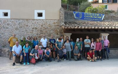 Más de 300 personas participan en el programa «Viu el patrimoni» del Consell de Mallorca