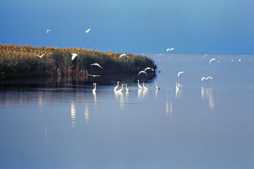 Water reserves in the Balearic Islands remain at 46% in October