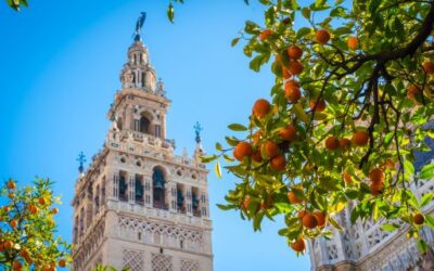 Albares prepara en París la Conferencia Internacional sobre la Financiación para el Desarrollo de Sevilla de 2025