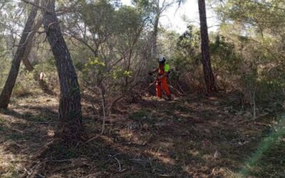 La Conselleria de Agricultura, Pesca y Medio Natural pone en marcha un proyecto para adaptar los hábitats forestales de las Illes Balears al cambio climático