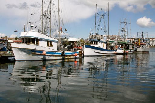 Aprobada la modificación del Decreto para la pesca con artes de tirada y el Plan de Gestión para la Pesca en Pitiusas