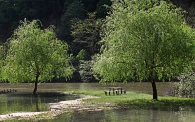 The Decree Law for the protection of people and property in flood zones of the Balearic Islands is approved