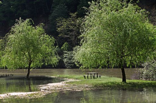 The Decree Law for the protection of people and property in flood zones of the Balearic Islands is approved