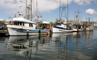 Approval of the modification of the Decree for the fishing with fishing gears and the Management Plan for the Fishing in Pitiusas.