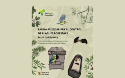 Medio Natural publishes an informative guide on birds and bats to raise awareness of the importance of these species for forest pest control